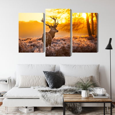 Ljuddämpande tavla - Deer in the forest at sunset