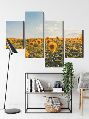 Ljuddämpande tavla - Sunflower field on a summer