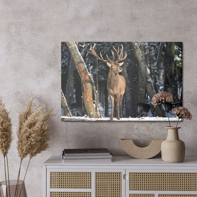 Ljuddämpande tavla - A deer among the trees