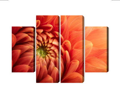 Ljuddämpande tavla - Orange chrysanthemum