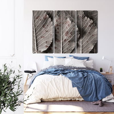 Ljuddämpande tavla - Gray leaves on a macro scale