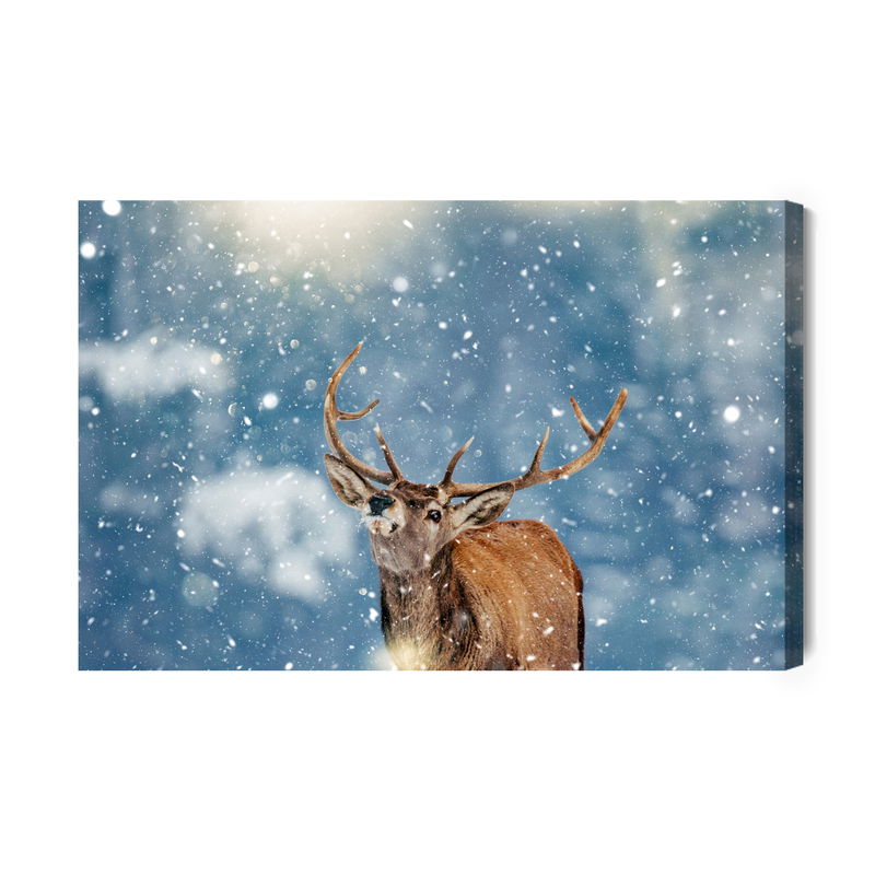 Ljuddämpande tavla - Deer and snowflakes