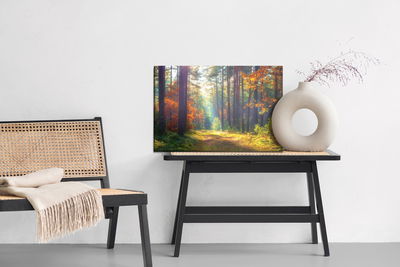 Ljuddämpande tavla - Autumn forest in the morning