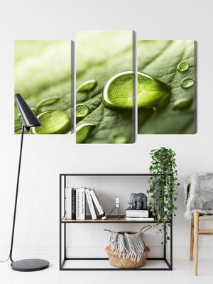 Ljuddämpande tavla - Water drops on a leaf