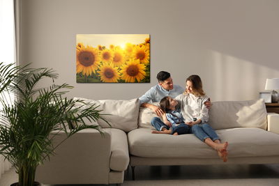 Ljuddämpande tavla - Sunset over the sunflowers