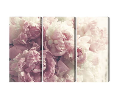 Ljuddämpande tavla - Peonies in shades of pink