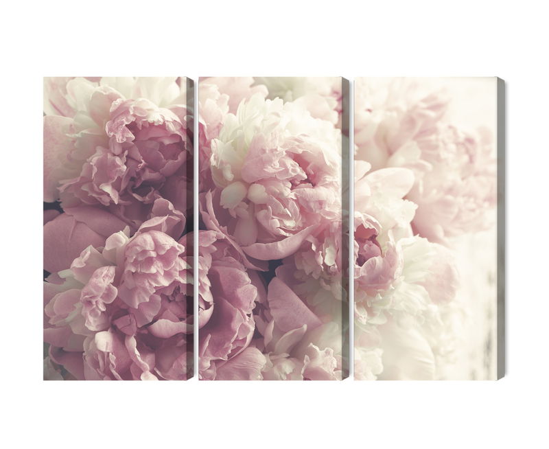 Ljuddämpande tavla - Peonies in shades of pink