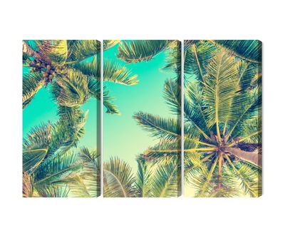 Ljuddämpande tavla - Bottom view of the palm trees