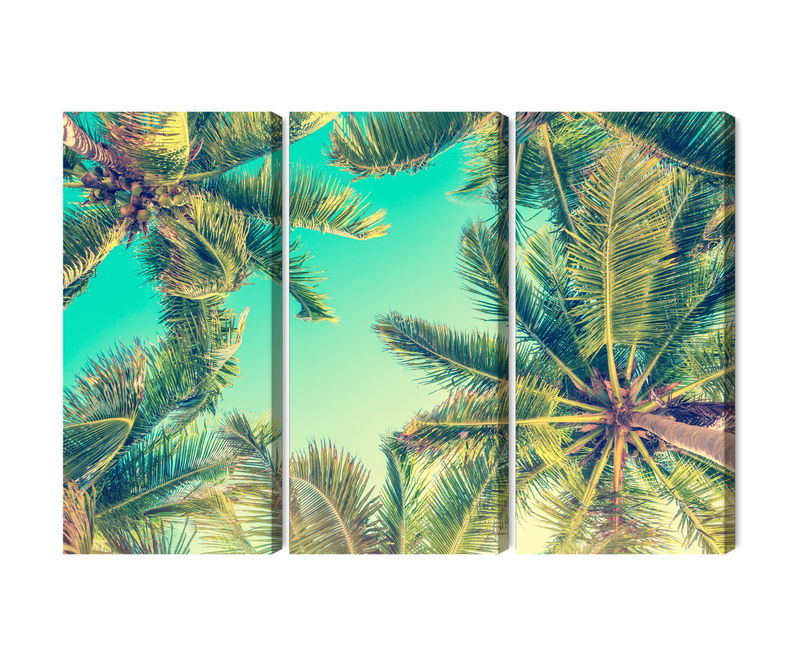 Ljuddämpande tavla - Bottom view of the palm trees