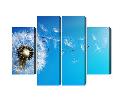 Ljuddämpande tavla - Dandelion with flying seeds