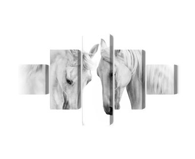 Ljuddämpande tavla - Two horses on a white