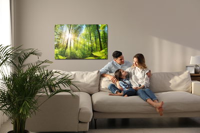 Ljuddämpande tavla - Sunrise in a green forest