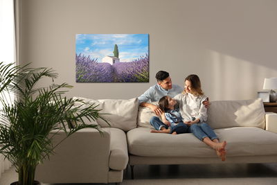 Ljuddämpande tavla - Beautiful lavender flowers