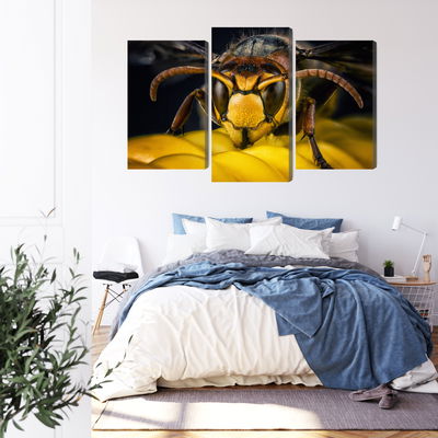 Ljuddämpande tavla - Wasp on a macro scale