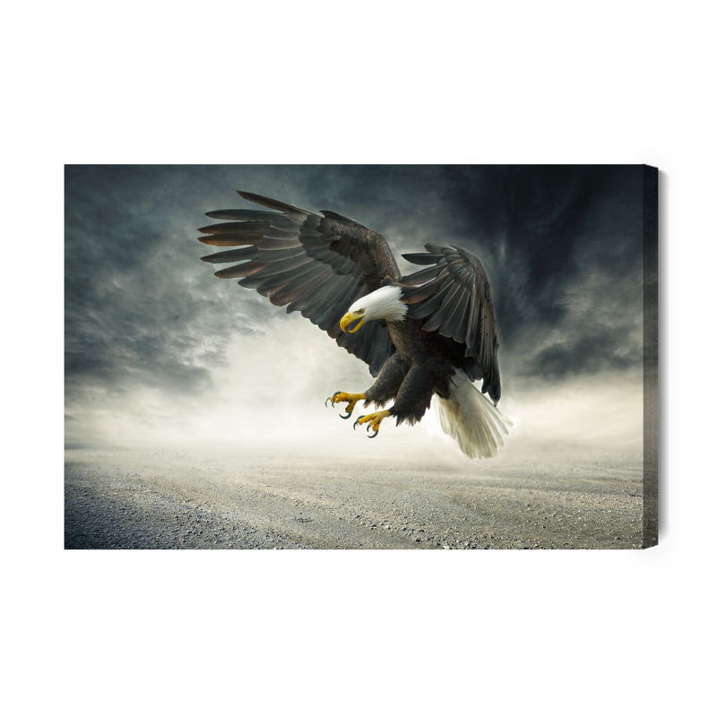 Ljuddämpande tavla - The eagle during the storm