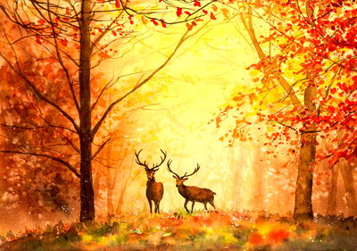 Ljuddämpande tavla - Deer in the autumn forest