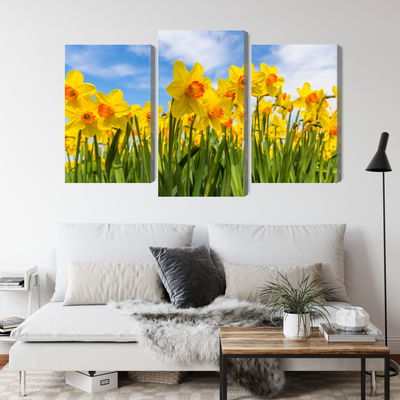 Ljuddämpande tavla - Daffodil field 3d