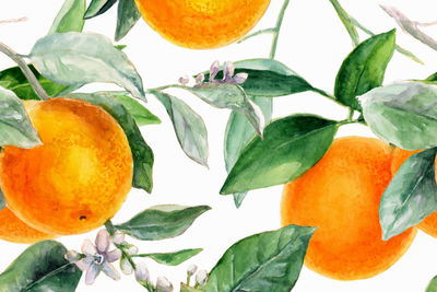 Ljuddämpande tavla - Oranges on the branches