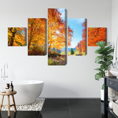 Ljuddämpande tavla - Colorful autumn trees