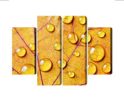 Ljuddämpande tavla - Water drops on an autumn