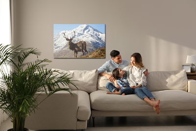 Ljuddämpande tavla - A deer with a mountain peak