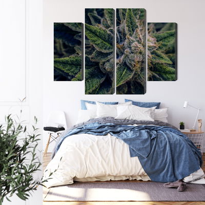 Ljuddämpande tavla - Cannabis plant close up