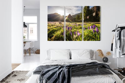 Ljuddämpande tavla - Chocholowska valley