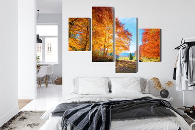 Ljuddämpande tavla - Colorful autumn trees