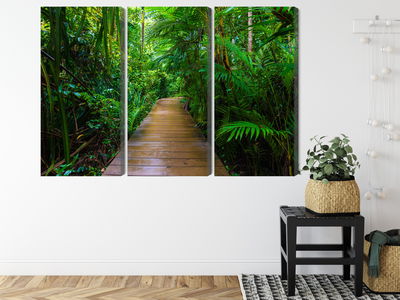Ljuddämpande tavla - Wooden bridge in a tropical