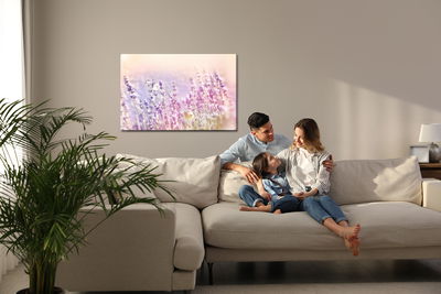 Ljuddämpande tavla - Lavender flowers bathed