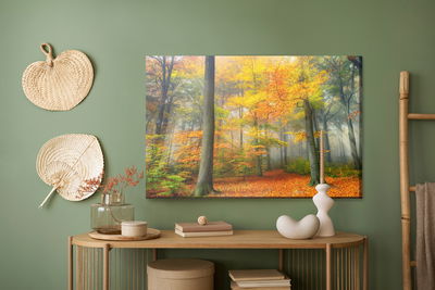 Ljuddämpande tavla - Misty autumn forest
