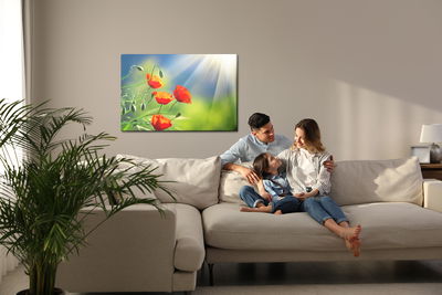 Ljuddämpande tavla - Poppies in the sunshine