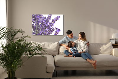 Ljuddämpande tavla - Blooming lavender flowers