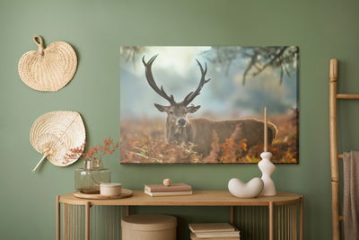 Ljuddämpande tavla - A magnificent stag