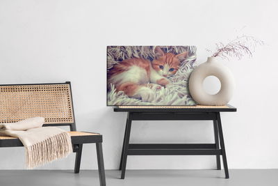 Ljuddämpande tavla - Little kitten as painted