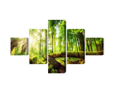 Ljuddämpande tavla - Rays of the sun in the 3d