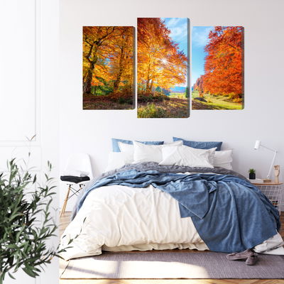 Ljuddämpande tavla - Colourful autumn trees