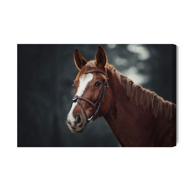 Ljuddämpande tavla - Horse on the background