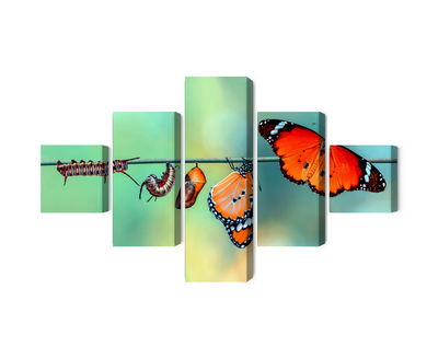 Ljuddämpande tavla - Colorful caterpillars