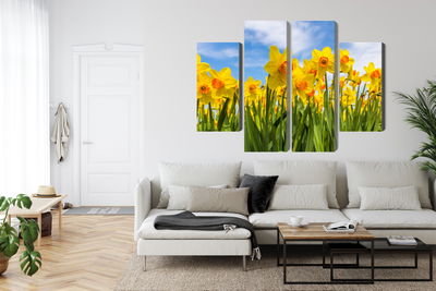 Ljuddämpande tavla - Daffodil field 3d