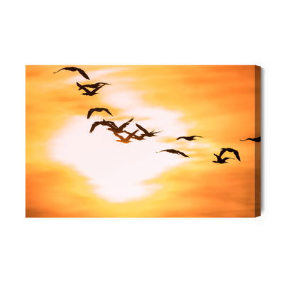 Ljuddämpande tavla - Cormorants birds