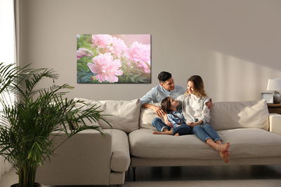 Ljuddämpande tavla - Peony in the sun