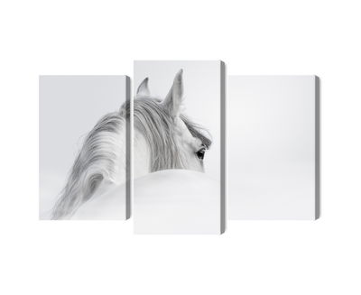 Ljuddämpande tavla - Andalusian horse in the fog