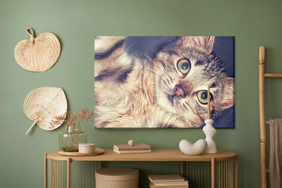 Ljuddämpande tavla - A beautiful feline portrait