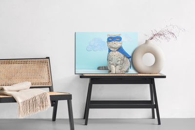 Ljuddämpande tavla - Gray cat with a mask