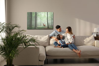 Ljuddämpande tavla - Deer in the misty forest