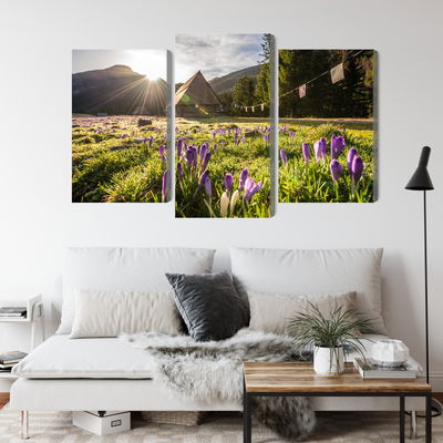 Ljuddämpande tavla - Chocholowska valley