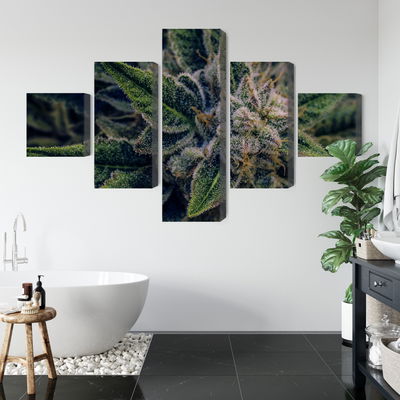 Ljuddämpande tavla - Cannabis plant close up