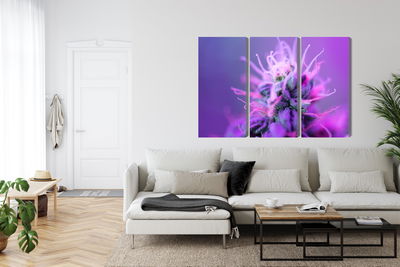 Ljuddämpande tavla - Macro plant on a pink-purple