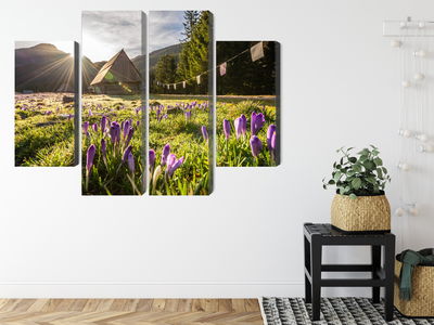 Ljuddämpande tavla - Chocholowska valley